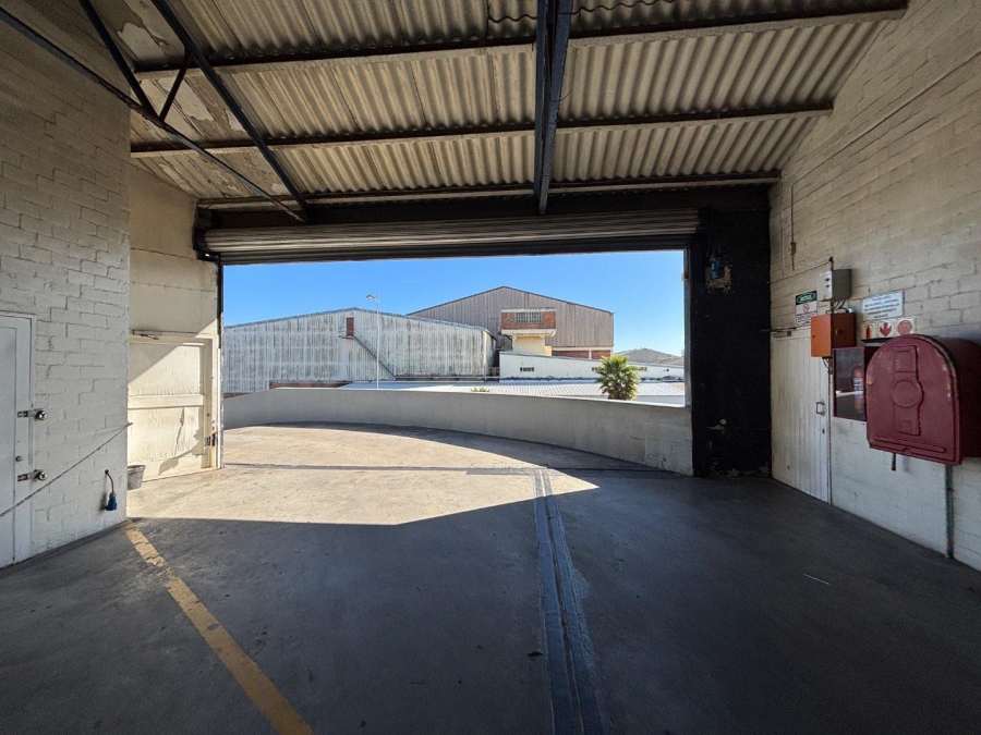 To Let commercial Property for Rent in Paarden Eiland Western Cape